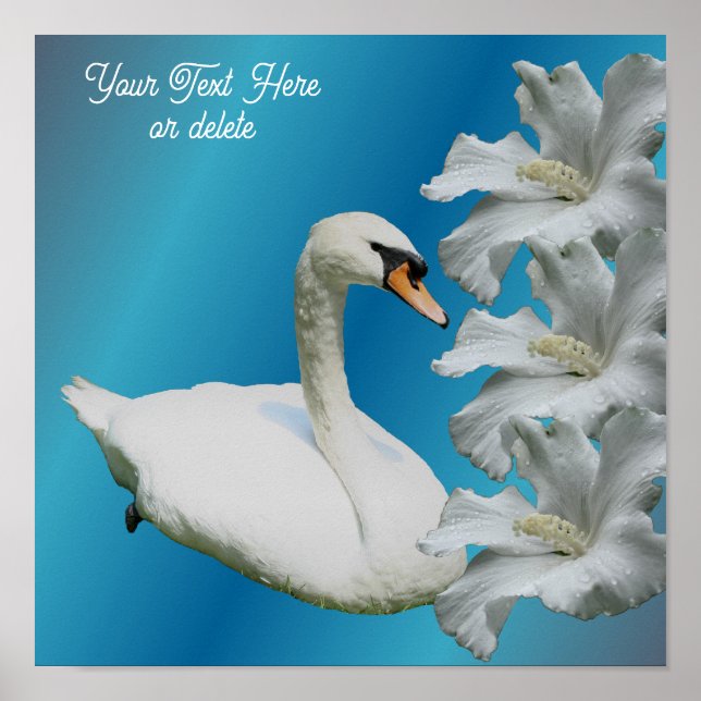 Poster Swan E Hibiscus Flower Adicionar Seu Texto (Frente)