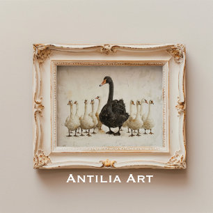 Poster Swan Negro Entre Cisnes Brancas Fazenda Arte Anima