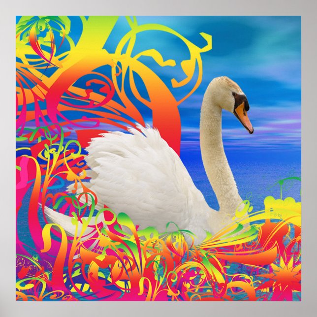 Poster Swan Nest (Frente)