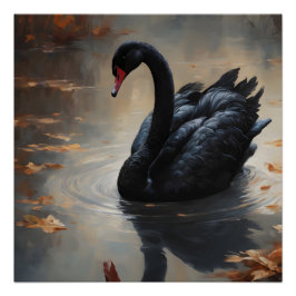 Póster Swan preto n.o 8