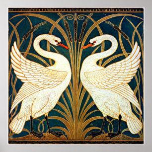 Poster Swan, Rush e Iris, design de colheita