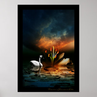 Póster Swan solitário