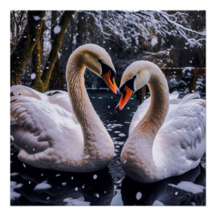 Póster Swans Românticos em uma Terra Maravilha de inverno