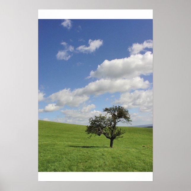 Póster Sway (Frente)