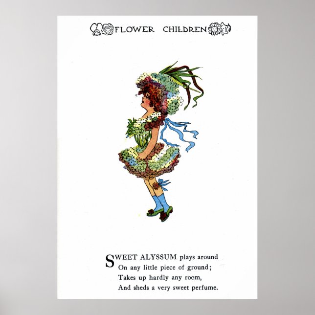 Poster Sweet Alyssum (Frente)