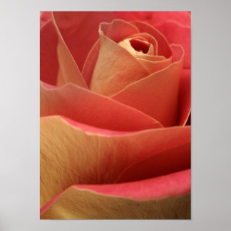 Póster Sweetheart Rosa