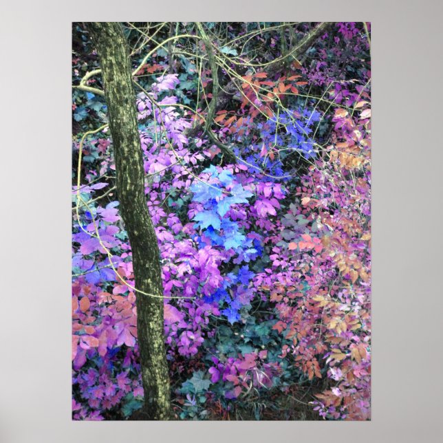 Poster Sweets of Spring (Frente)