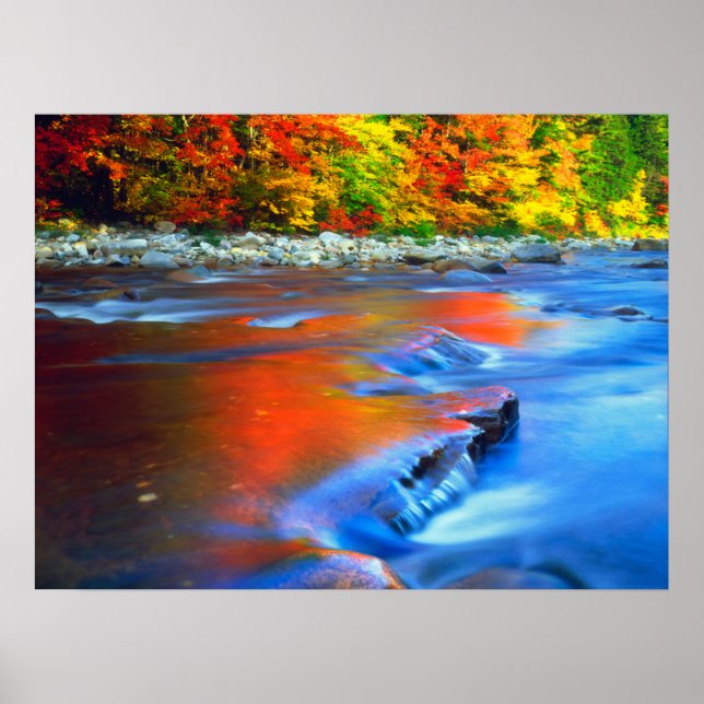Poster Swift River refletindo as cores do outono (Frente)