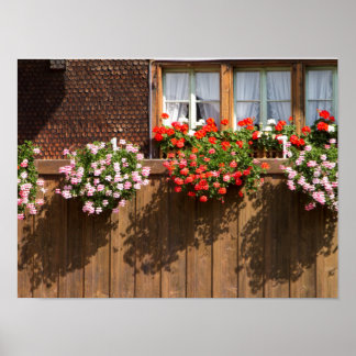 Poster Swiss flower box