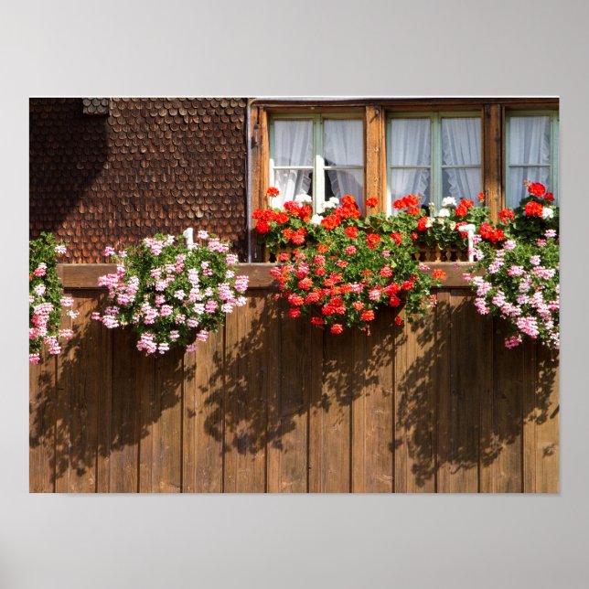 Poster Swiss flower box (Frente)