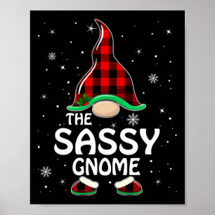 Poster Sy Gnome Buffalo Xadrez Correspondente Família Nat