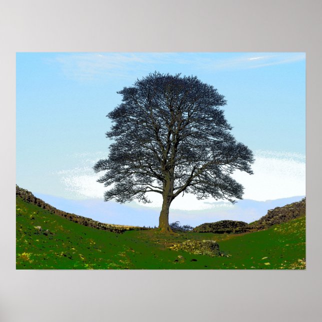 Póster Sycamore Gap Poster/Impressão (Frente)