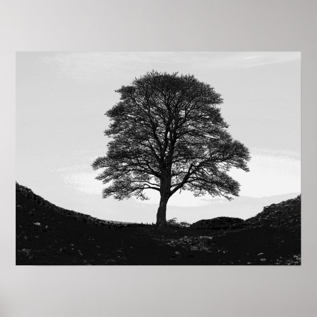 Póster Sycamore Gap Poster/Impressão (Frente)
