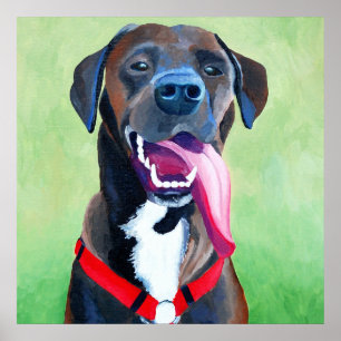 Póster Sydney Dog Art Large Print