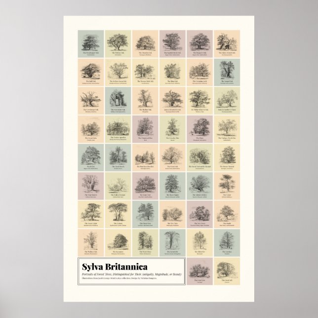 Poster Sylva Britannica (Frente)