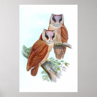 Poster T-Shirt do Barn Bay Oriental