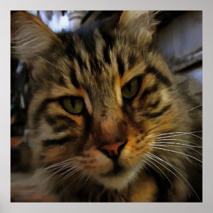 Poster Tabby Cat Artístico Retrato v2