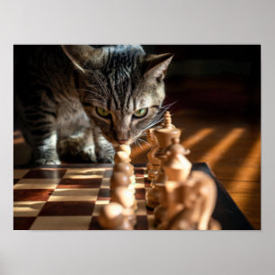 Poster Tabby Cat Jogando Xadrez