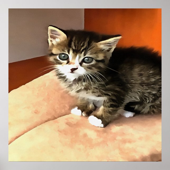 Poster Tabby Cat Kitten Pet Retrato (Frente)