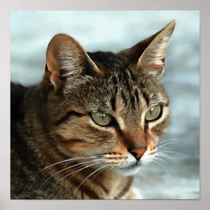 Poster Tabby impressionante Cat CloseUp Retrato Artístico