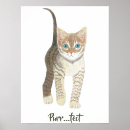 Poster Tabby Kitten White