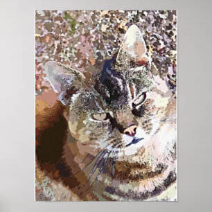 POSTER TABELA CAT