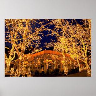 Poster Taberna no verde, Central Park, Nova Iorque,