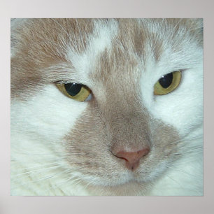 Póster Tabuleiro Branco e Laranja