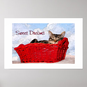Poster Tabuleiro Gelado Gelado Gatinho Vermelho Cesto Fot