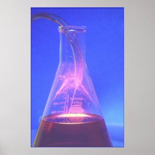 Poster Taça