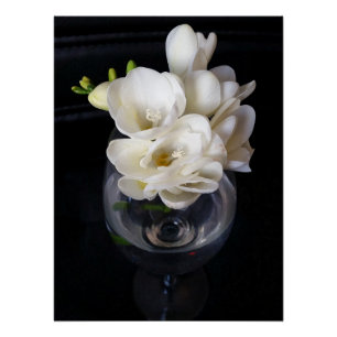 Póster taça noturna freesia