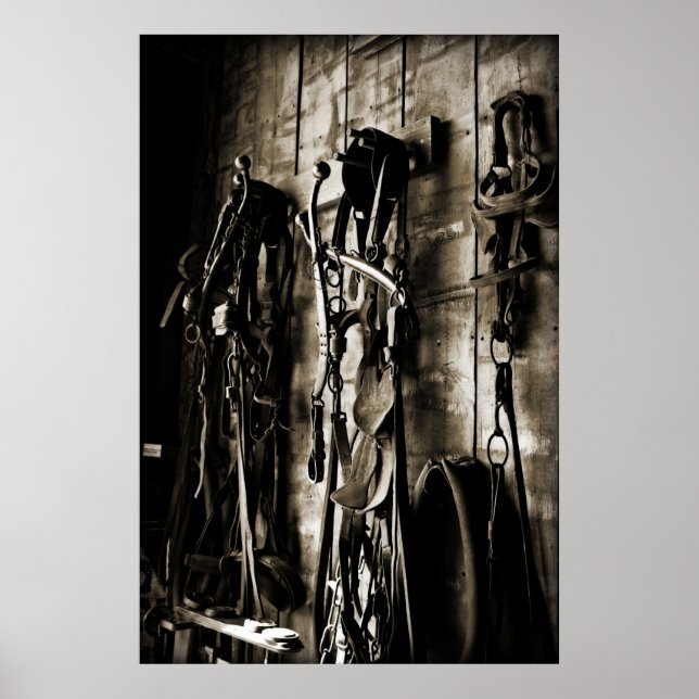 Póster Tack Ocidental (Frente)