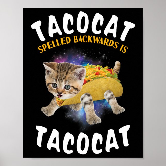 Poster Tacocat Ortografado Para Trás É Tacocat Tee Cat E  (Frente)
