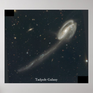 Poster Tadpole Galaxy