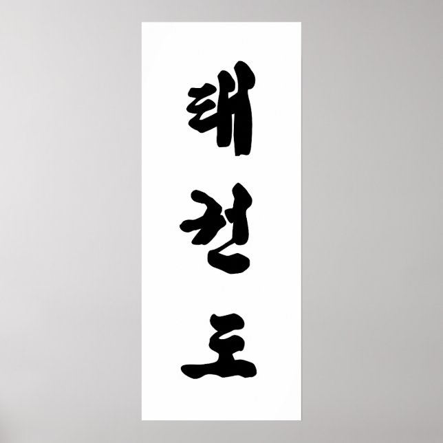 Póster Tae Kwon Do Canvas (Frente)