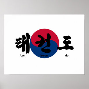 Póster Tae Kwon Do com Sinalizador