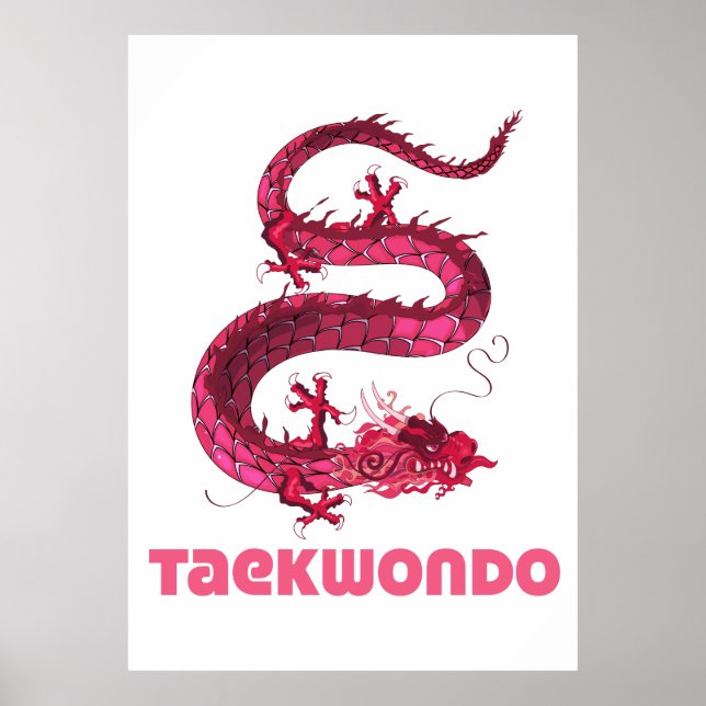 Poster Taekwondo (Frente)