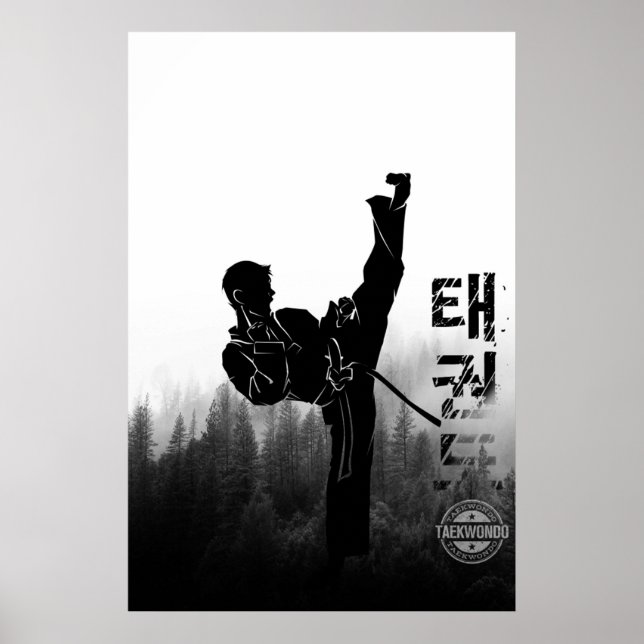 Poster Taekwondo High Kick Coreano (Frente)