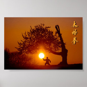 Poster Taichi (taiji), árvore cerejeira sol que deita