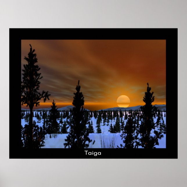 Poster Taiga (Frente)