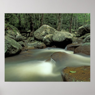 Póster Tailândia, ilha Kohsamui, paisagem florestal.