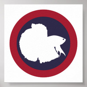 Poster Tailândia Siameses lutando peixes Betta Tailandês