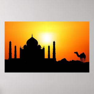 Poster Taj Mahal & Camel Em Segundo Plano Do Sunset
