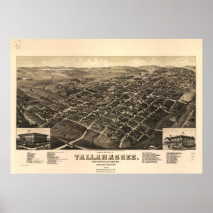 Póster Tallahassee Florida 1885 mapas panorâmicos