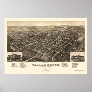 Poster Tallahassee, mapa panorâmico de FL - 1885