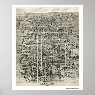 Póster Tallahassee, mapa panorâmico de FL - 1926