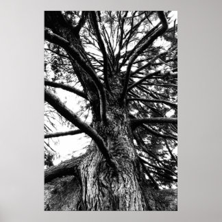 Póster Taller Than You Think