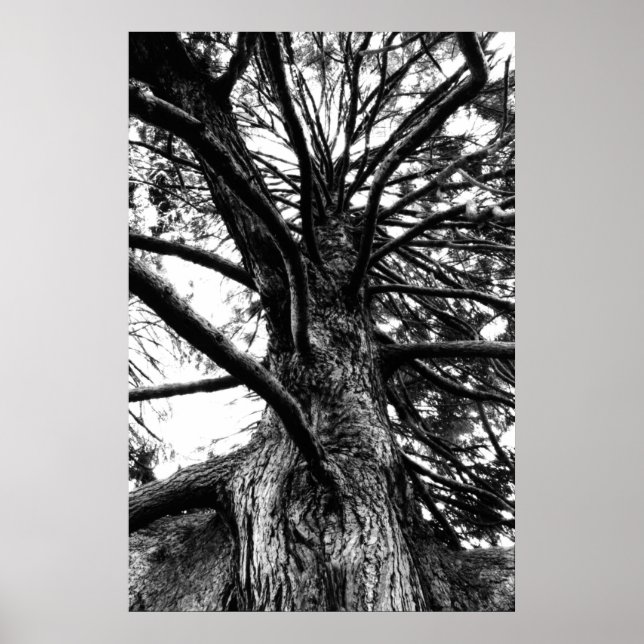 Póster Taller Than You Think (Frente)