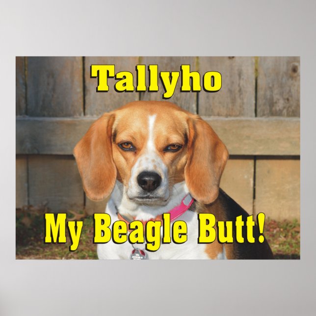 Poster Tallyho Meu Bumbum de Beagle! Grumpy Beagle (Frente)