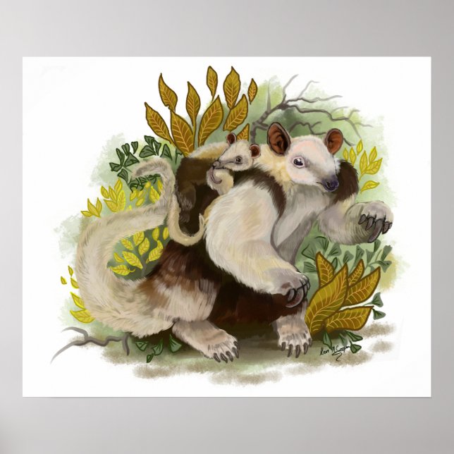 Poster Tamandua Anteater (Frente)